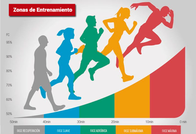 Zonas De Entrenamiento Aprende A Entrenar Con Puls Metro Bulevip