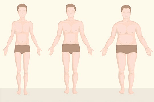 Tipos de cuerpo: ectoformo, mesoformo y endoformo