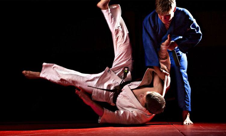 Artes marciales: judo