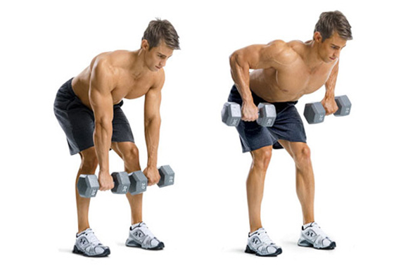 Ejercicios para dorsales en casa: cómo ejercitar el músculo dorsal de forma  eficaz