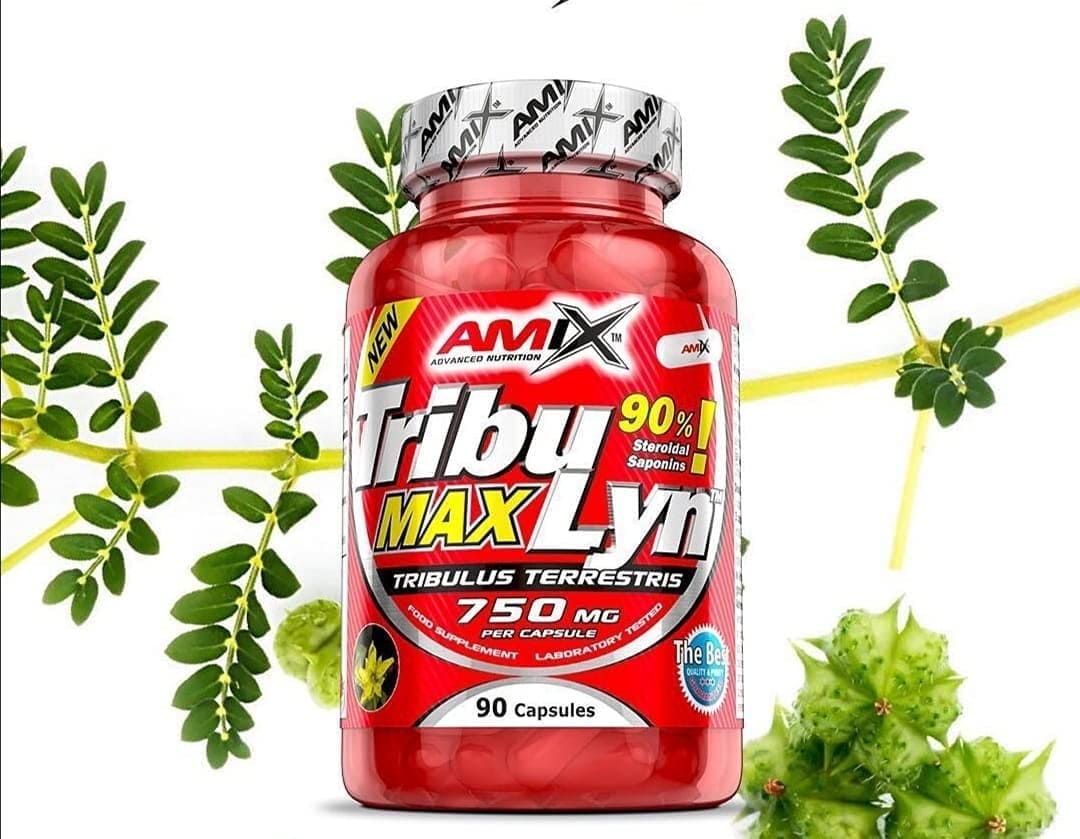 trybuline-amix